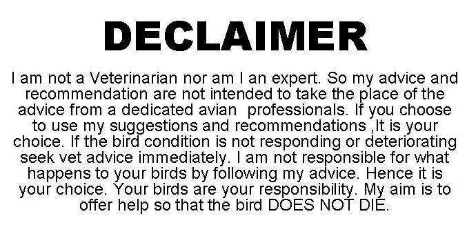 bird_disclaimer.jpg